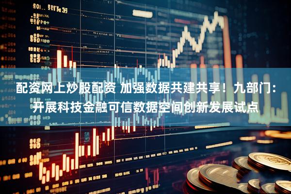 配资网上炒股配资 加强数据共建共享!九部门:开展科技金融可信数据空间创新发展试点